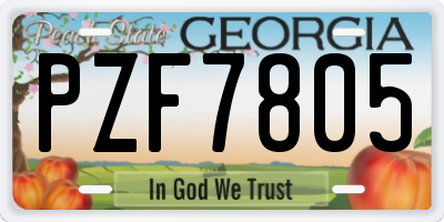 GA license plate PZF7805