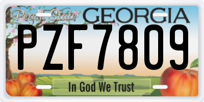 GA license plate PZF7809