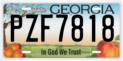 GA license plate PZF7818