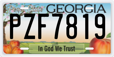 GA license plate PZF7819