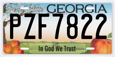 GA license plate PZF7822