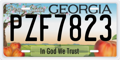 GA license plate PZF7823