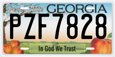 GA license plate PZF7828
