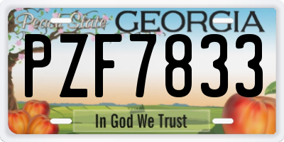 GA license plate PZF7833