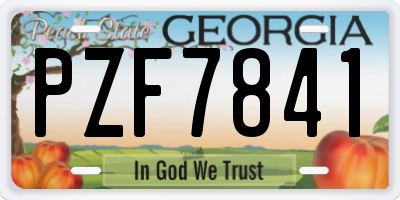 GA license plate PZF7841