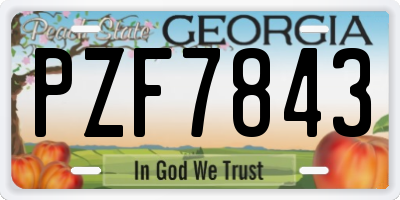 GA license plate PZF7843