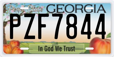 GA license plate PZF7844