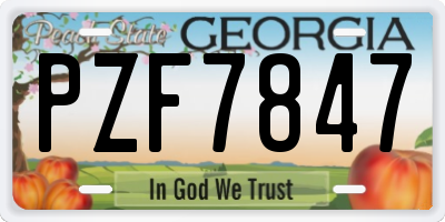 GA license plate PZF7847