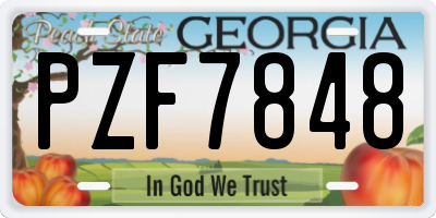 GA license plate PZF7848