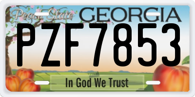 GA license plate PZF7853