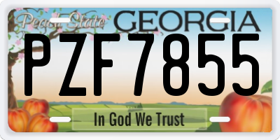 GA license plate PZF7855