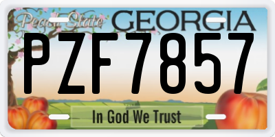GA license plate PZF7857