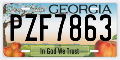 GA license plate PZF7863