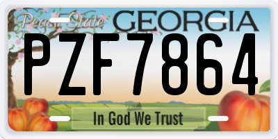 GA license plate PZF7864