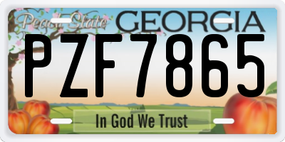 GA license plate PZF7865