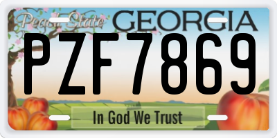 GA license plate PZF7869