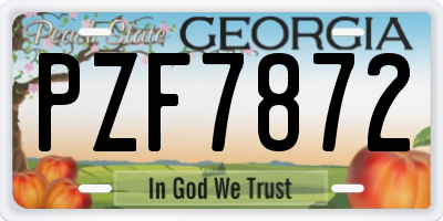 GA license plate PZF7872
