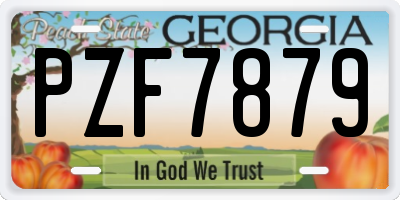 GA license plate PZF7879