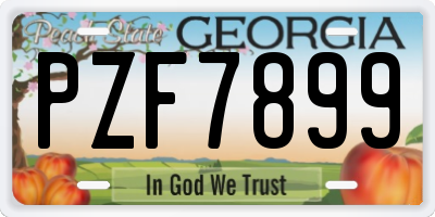 GA license plate PZF7899