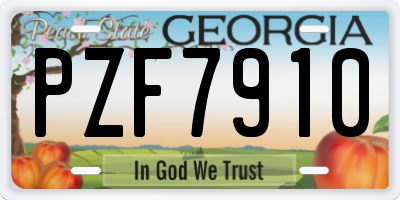 GA license plate PZF7910