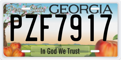 GA license plate PZF7917