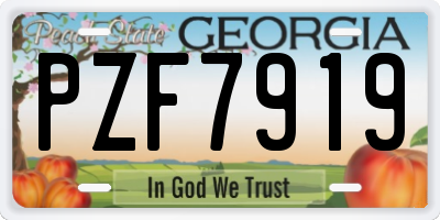 GA license plate PZF7919