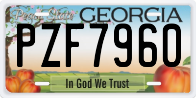 GA license plate PZF7960