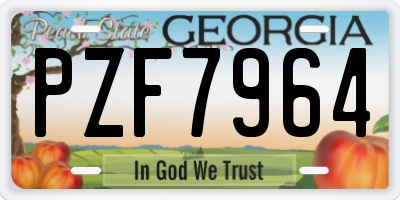 GA license plate PZF7964