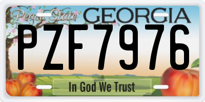 GA license plate PZF7976