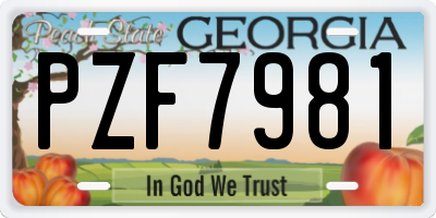GA license plate PZF7981