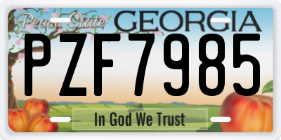 GA license plate PZF7985