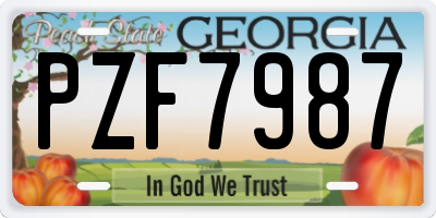 GA license plate PZF7987
