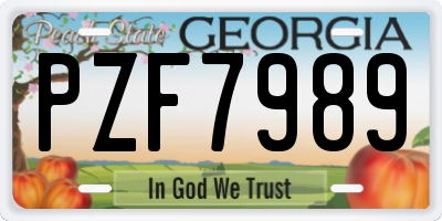 GA license plate PZF7989