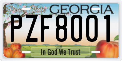 GA license plate PZF8001