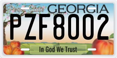 GA license plate PZF8002