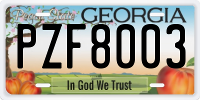 GA license plate PZF8003
