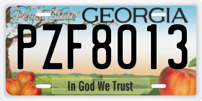 GA license plate PZF8013
