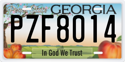 GA license plate PZF8014