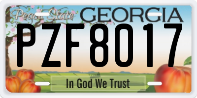 GA license plate PZF8017