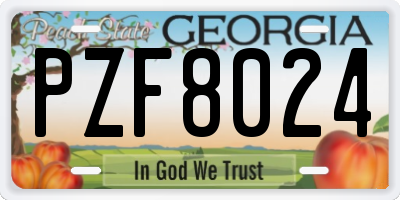 GA license plate PZF8024