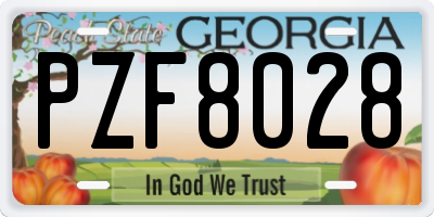 GA license plate PZF8028