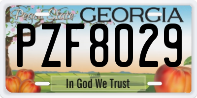 GA license plate PZF8029