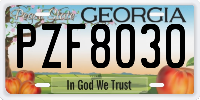 GA license plate PZF8030