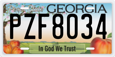 GA license plate PZF8034