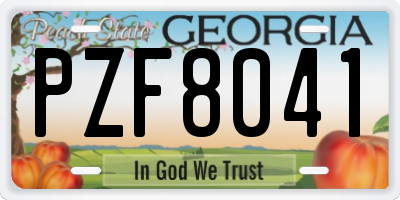 GA license plate PZF8041