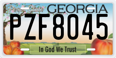 GA license plate PZF8045