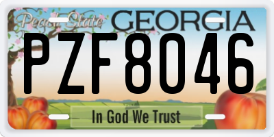 GA license plate PZF8046