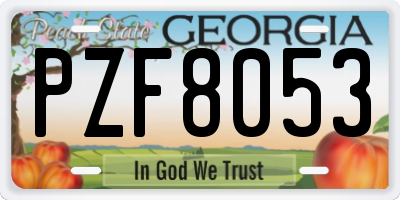 GA license plate PZF8053