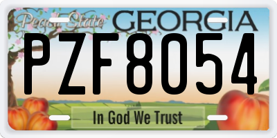 GA license plate PZF8054