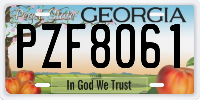 GA license plate PZF8061